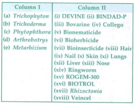 Match organisms in column I with as many as articles in column II.