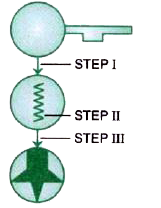 Refer to the diagram and answer the following questions:     (a) From which is T1 plasmid obtained?   (b) Name the enzyme which is involved in step I.   (c) What happens in step III?    (d) The plant produced is called hybrid or transgenic.
