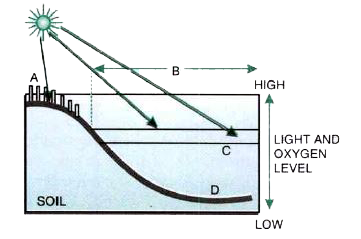 Label the aquatic zones in the given picture