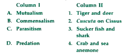 Match the column I with column II and choose the correct option