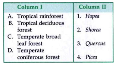 Match the column I (Indian forest types) with column II (dominant tree genera) and choose the correct option.