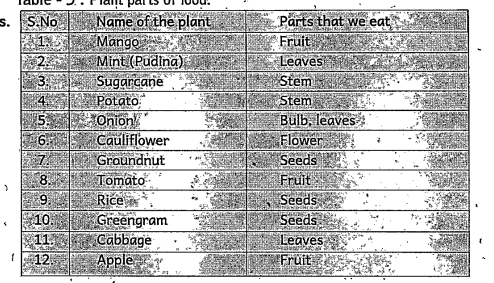 Can you identify which part of the plants in table 
 is edible?    name the plant parts which we eat