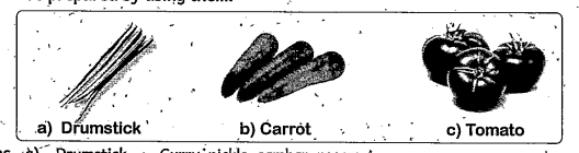 Identify the following vegetables write the names of the dishes that can be prepared by using them