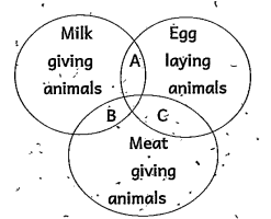 Give an example for animal present in B