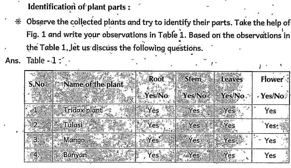 What are the common parts that you observe in all plant?