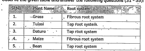 Observe the table and answer the following questions     Which of the plants have fibrous root system?