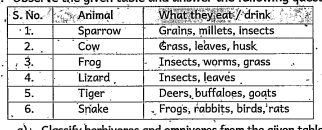 Observe the given table and answer the following questions    Which animals take both plants and animals as their food from the table?