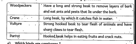 Observe the given table and answer the following questions    How is the beak of a woodpecker?