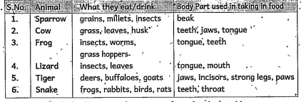 Fill the below table and answer the question      Classify the herbivores and carnivores from the above table.