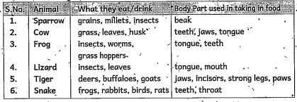 Fill the below table and answer the question      What happens if all the animals are herbivores on this earth.