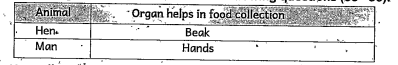 Read the given table and answer the following questions     Hen collects its food through