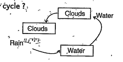 What is missing in the water cycle