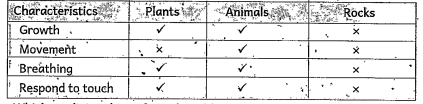 Choose the correct answer:   Read the table and answer the following question   Which aré Non living thing from the table?