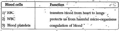 MULTIPLE CHOICE QUESTION  What happens if blood platelets are not there in our blood ?