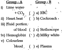 MATCH THE FOLLOWING