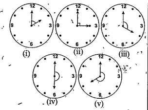 Write the type of angles you observed in the given clock