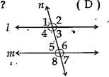 In the adjacent figure which of the following represents a pair of alternate exterior angles