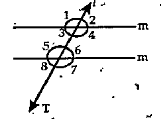 In the given figure   angle3,angle4,angle5,angle6 are exterior angles(True/False)