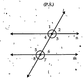 In the figure ,m||m and l is transversal   If angle4=51^@ then what isangle5