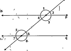 From the figure state which property that is used in each of the following if p||q then angle1=angle8