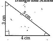 Based on their angle and sides which type of triangles shown in the figure .............. and .............