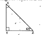 The angle vertex 'x' is .............
