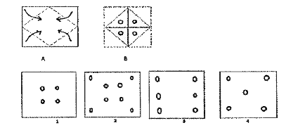 Choose a figure which would most closely resemble the unfolded form of Figure (B)