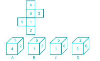 Select the dices that can be formed by folding the given sheet along the lines