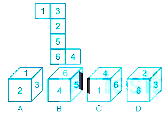 Select the dice that can be formed by folding the given sheet along the lines.