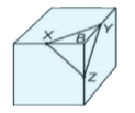 A right triangular pyramid XYZB is cut from cube as shown in figure. |The side of cube is 16 cm. X, Y and Z are mid points of the edges of the cube. What is the total surface area (in cm^2) of the pyramid?