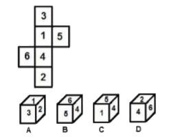 Select the dice(s) that can be formed by folding the given sheet.