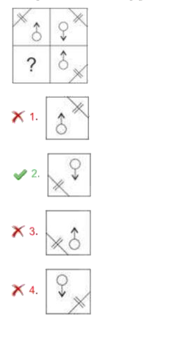 Complete the missing portion of the given pattern by selecting from options.