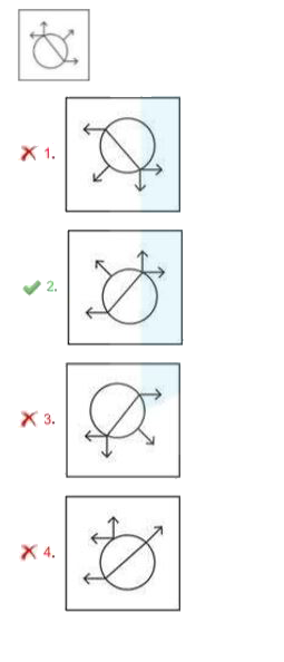 Select the correct mirror image of the given figure when the mirror is placed to the right side of the figure.