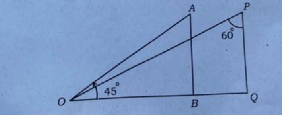 चित्र में, बिन्दु O का बिन्दुओं A तथा P से देखने पर से देखने पर अवनमन कोणों की माप होगी