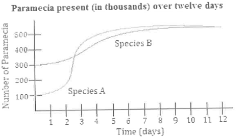 A small puddle is monitored by scientists for the number of paramecia present. The scientists are in two distinct species, let's call them ''species A'' and ''species B''. At time t = 0, the scientists measure and estimate the amount of species A and species B present in the puddle. They then proceed to measure and record the number of each species of paramecium present every hour for 12 days. the data for each species were then fit by a smooth curve, as shown in the graph above. Which of the following is a correct statement about the data above?