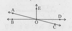 In the adjoining figure, name the following pairs of angles:  Adjacent complementary angles.