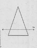 In the figure, l is the line of symmetry. Draw the image of triangle and complete the diagram so that it becomes symmetric.
