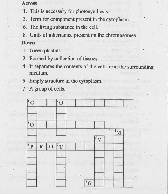 Complete the crossword puzzle.