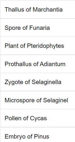 Classify the following as gametophyte or sporophyte generation.