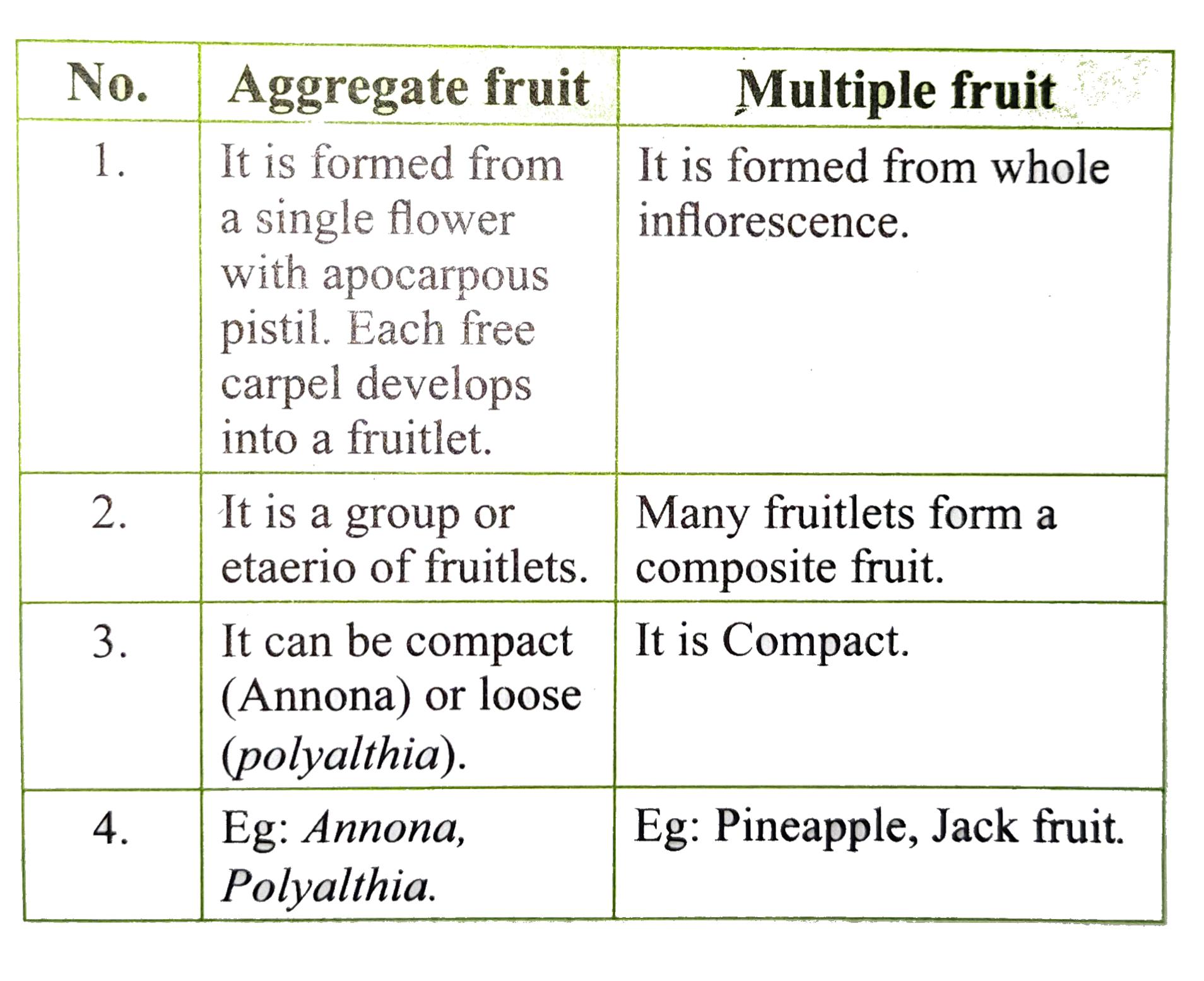 tamil-solution-differentiate-between-aggregate-fruit-with-multiple-f