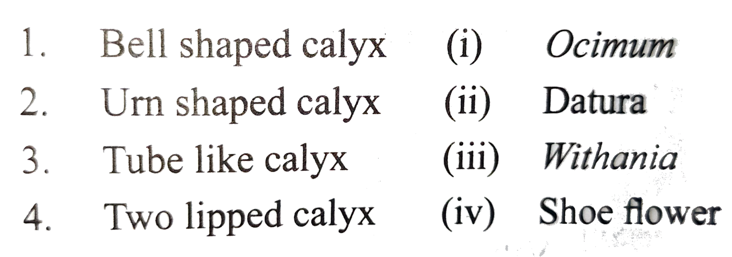 Match the following columns