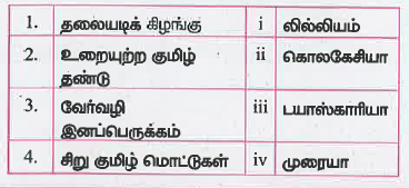 பொறுத்துக.