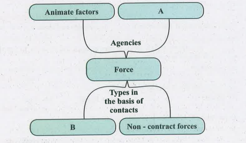 Complete the web chart.