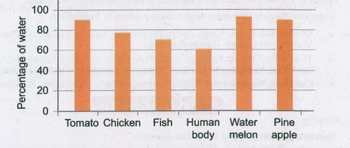 Observe the given graph carefully and answer the questions. Name the food item that has minimum amount of water in its content.