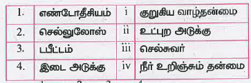 பொறுத்துக.