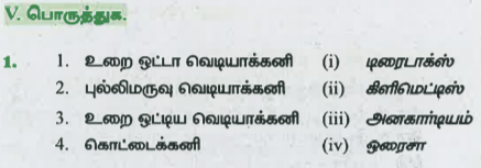 பின்வரும் நெடுவரிசையுடன் பொருந்தவும்