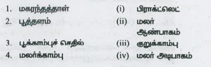 பின்வரும் நெடுவரிசையுடன் பொருந்தவும்