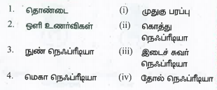 கீழ்க்கண்டவற்றைப்‌ பொருத்தி சரியான விடையைக்‌ கண்டறி.