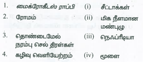 கீழ்க்கண்டவற்றைப்‌ பொருத்தி சரியான விடையைக்‌ கண்டறி.