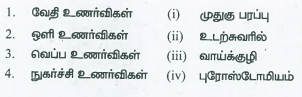 கீழ்க்கண்டவற்றைப்‌ பொருத்தி சரியான விடையைக்‌ கண்டறி.